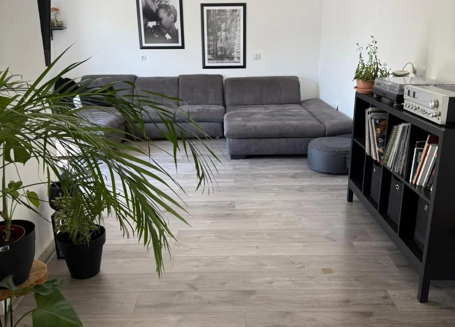 Cozy Apartment & Free Parking Medulin
